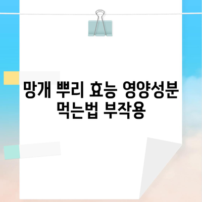 망개 뿌리 효능 영양성분 먹는법 부작용