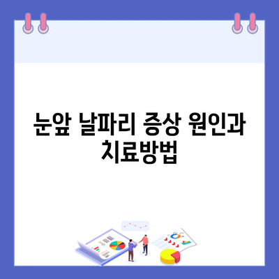 눈앞 날파리 증상 원인과 치료방법