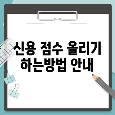 신용 점수 올리기 하는방법 안내