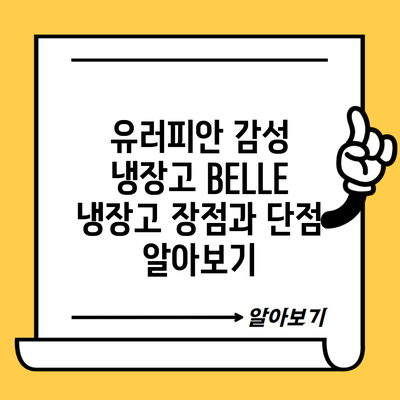 유러피안 감성 냉장고 BELLE 냉장고 장점과 단점 알아보기