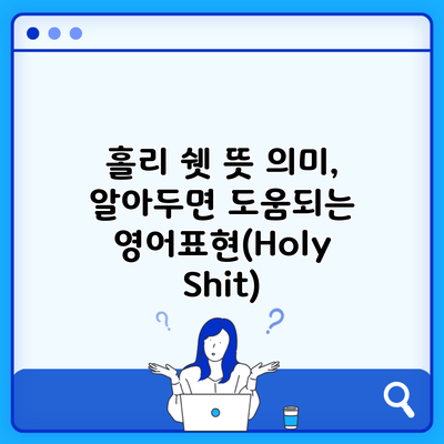 홀리 쉣 뜻 의미, 알아두면 도움되는 영어표현(Holy Shit)