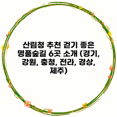 산림청 추천 걷기 좋은 명품숲길 6곳 소개 (경기, 강원, 충청, 전라, 경상, 제주)