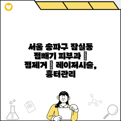 서울 송파구 잠실동 점빼기 피부과 | 점제거 | 레이저시술, 흉터관리