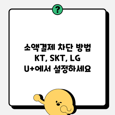 소액결제 차단 방법 KT, SKT, LG U+에서 설정하세요