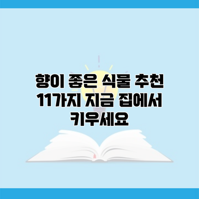 향이 좋은 식물 추천 11가지 지금 집에서 키우세요