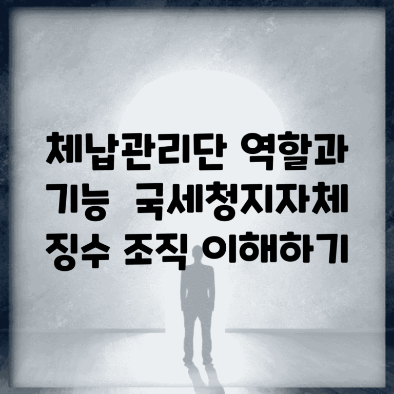 체납관리단 역할과 기능 | 국세청/지자체 징수 조직 이해하기