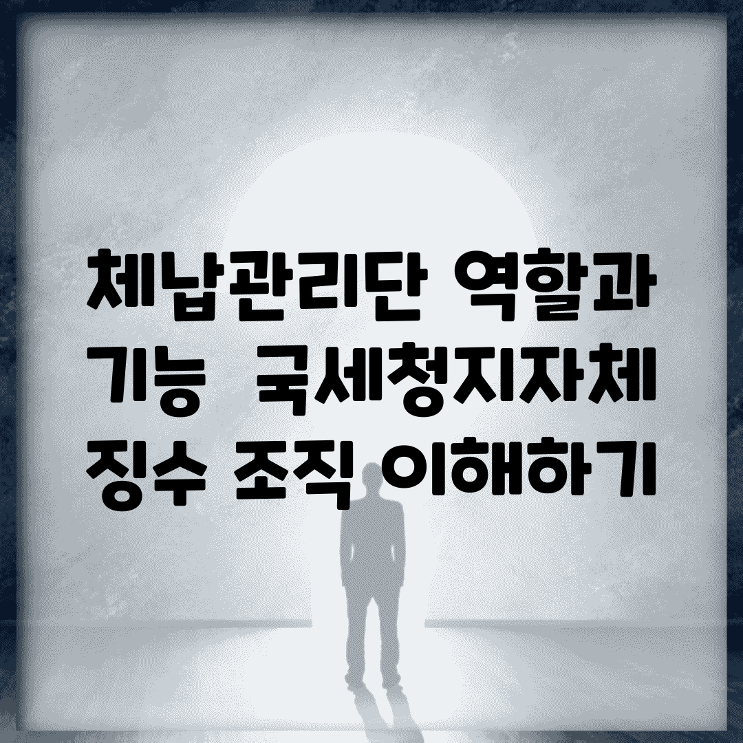 체납관리단 역할과 기능 | 국세청/지자체 징수 조직 이해하기
