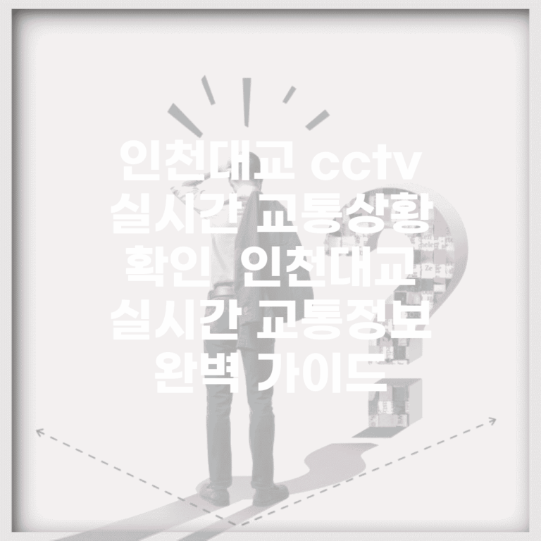 인천대교 cctv 실시간 교통상황 확인 | 인천대교 실시간 교통정보 완벽 가이드