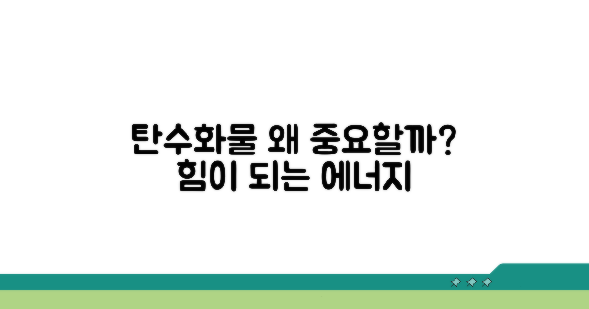 탄수화물, 왜 중요할까?