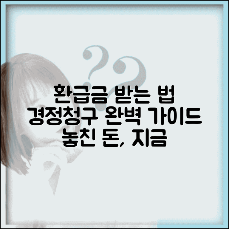 경정청구 환급 과정 | 경정청구 환급금 수령 절차