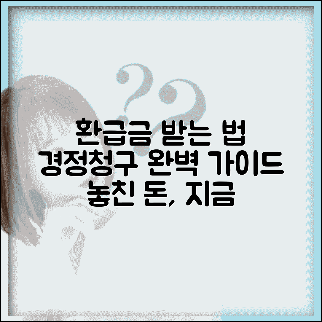 경정청구 환급 과정 | 경정청구 환급금 수령 절차