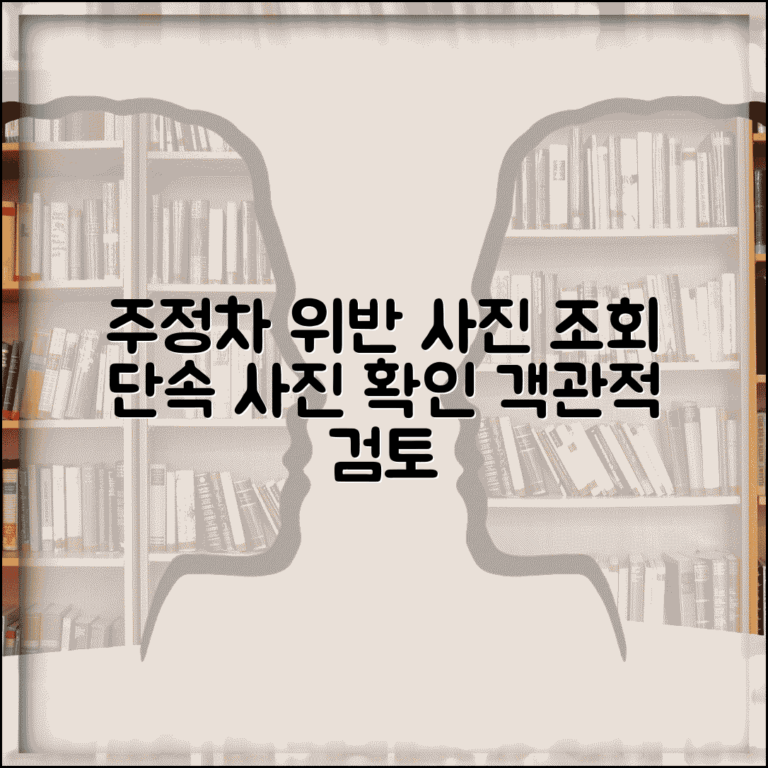 주정차위반 사진 조회 확인 | 단속 사진 열람하고 위반 상황 객관적 검토