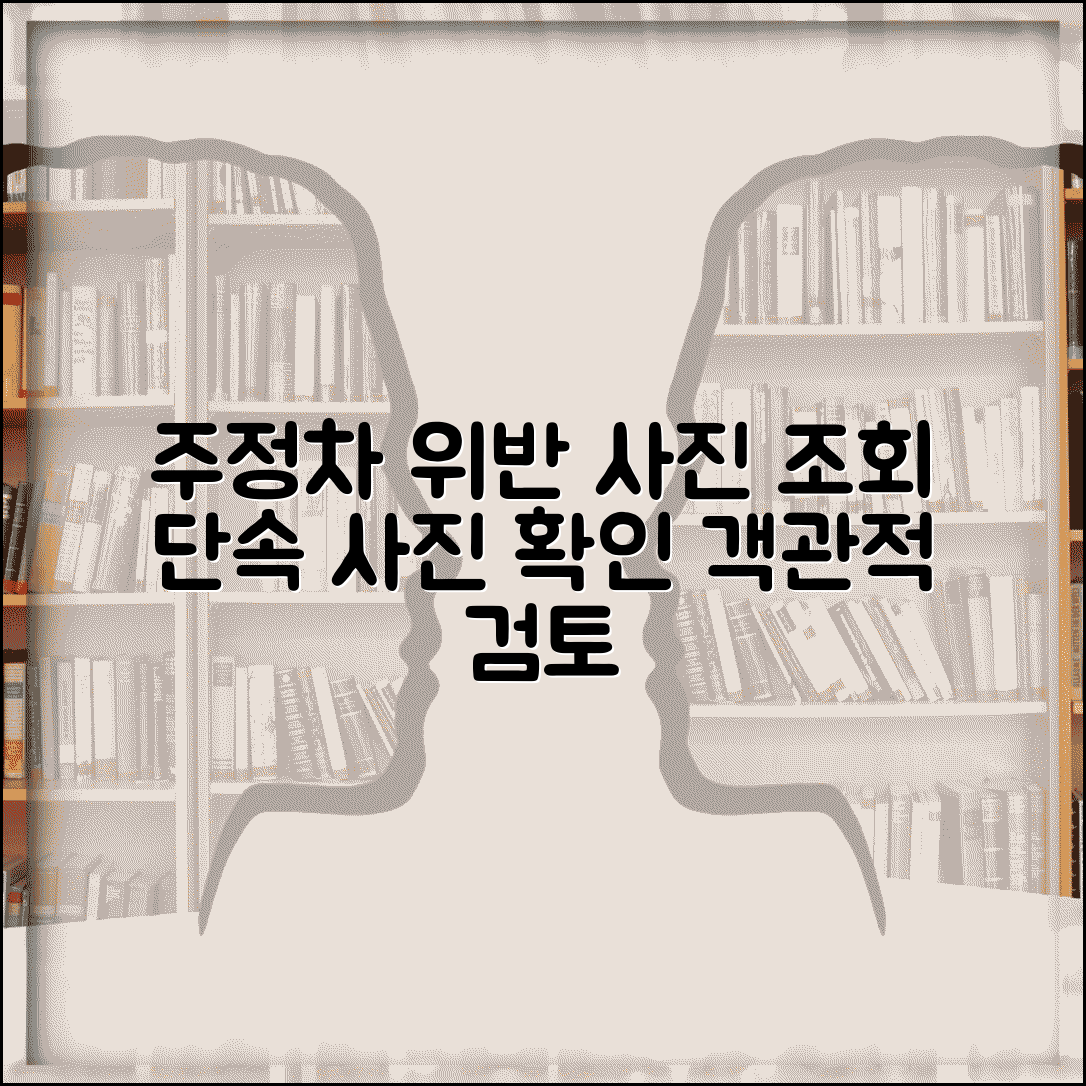 주정차위반 사진 조회 확인 | 단속 사진 열람하고 위반 상황 객관적 검토
