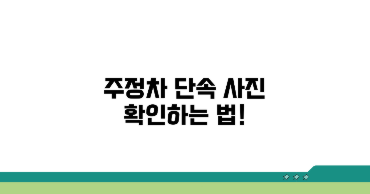 주정차 단속 사진, 어떻게 볼까?