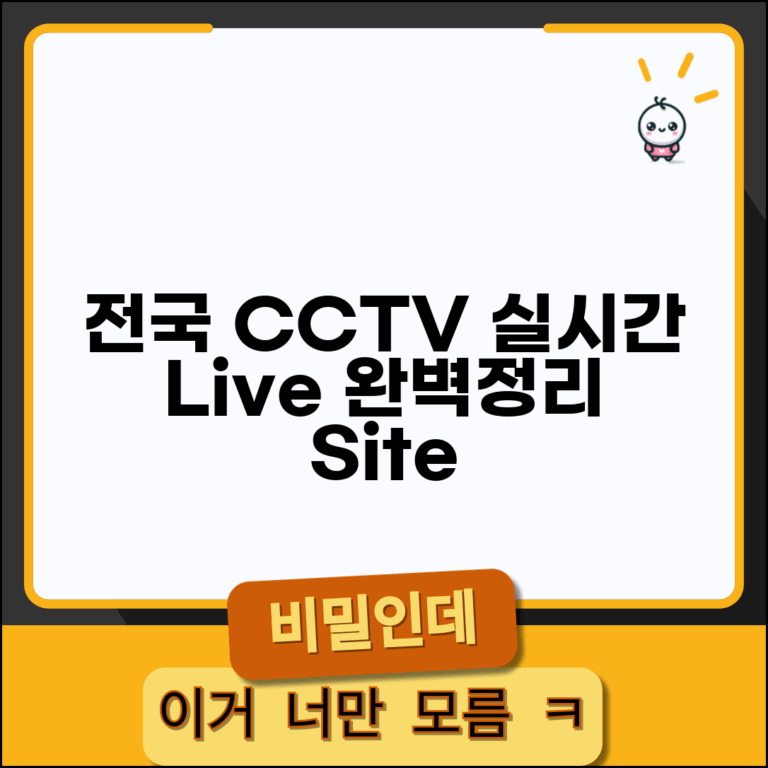 전국 CCTV 실시간 | 전국 실시간 CCTV 사이트 완벽정리