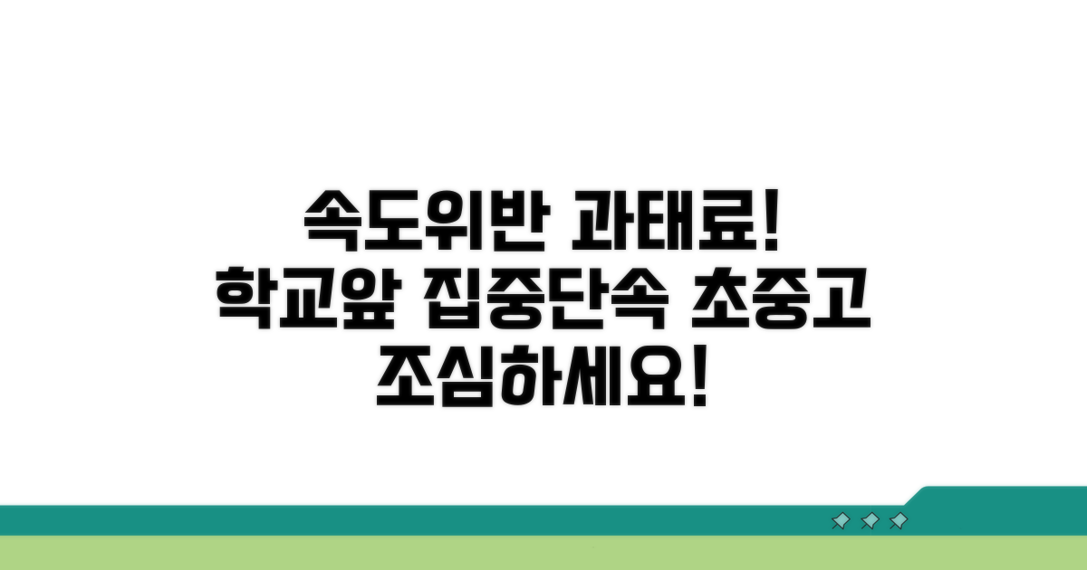 초중고 주변 속도위반 과태료
