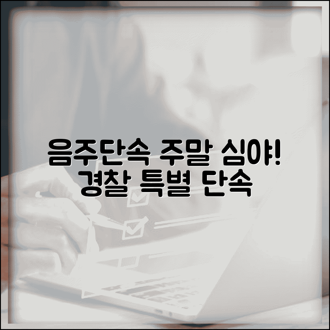음주단속 시간대 경찰 운영 | 주말 심야시간 집중 음주운전 단속과 검문소 설치 시간