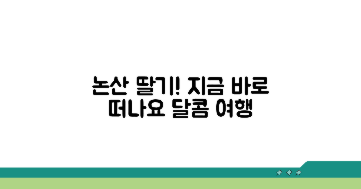 지금 바로 떠나는 논산 딸기 여행