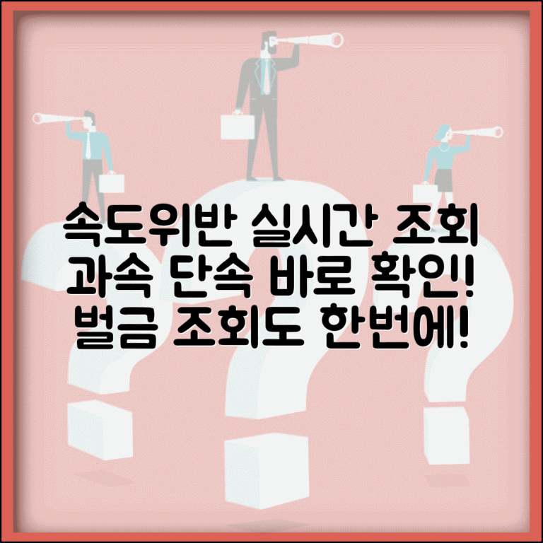 속도위반 실시간 조회 | 과속 단속 실시간 확인과 범칙금 조회