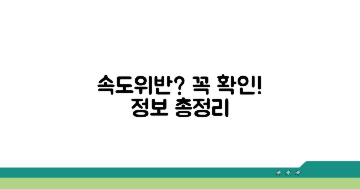 속도위반 시 확인해야 할 정보
