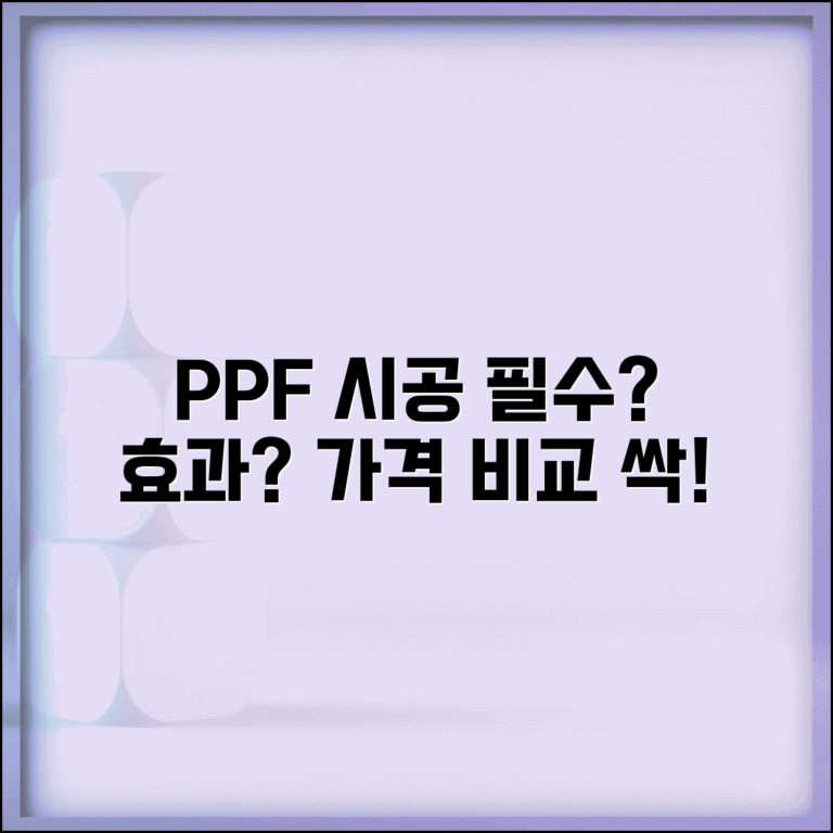 자동차 PPF 시공 필요성 효과 비용 가격 | 차 페인트 보호 필름 가격