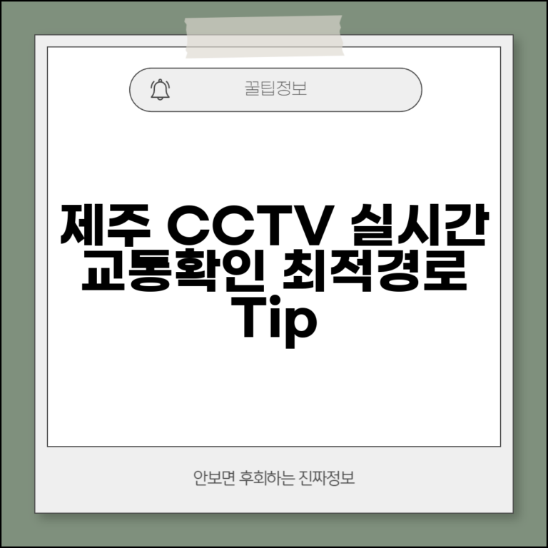 제주 교통정보 CCTV 활용법 | 실시간 교통상황 확인 및 최적 경로 추천 팁