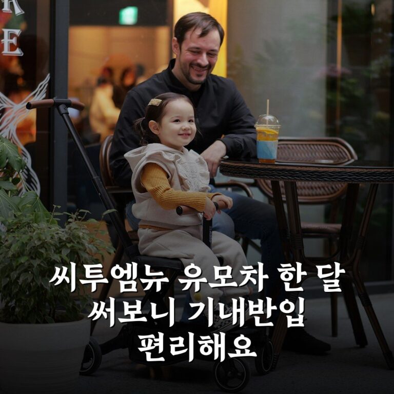 [씨투엠뉴] 유모차 한 달 써보니 기내반입 편리해요